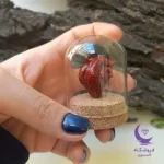 قلب سه بعدی