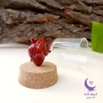 قلب 3 بعدی
