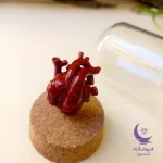 قلب واقعی سه بعدی