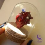 خرید قلب سه بعدی در شاپ اکسسوری