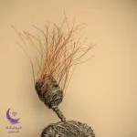 مجسمه دختر زیبا