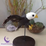 عروسک عقاب شمالی