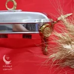مرغ خوری استیل