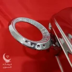 مرغ خوری نگین دار