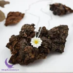 گردن آویز گل دیزی