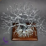 درخت بزرگ سیمی